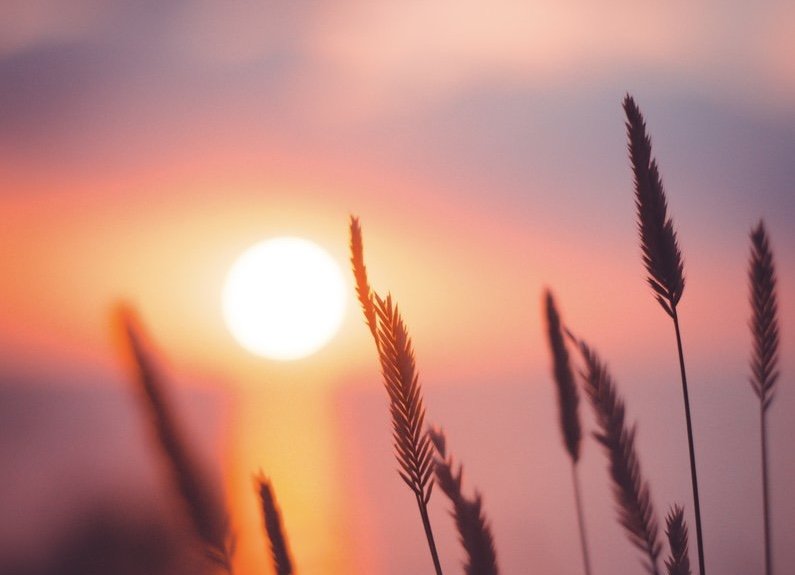 Sacred Seasons: Summer Slowdown