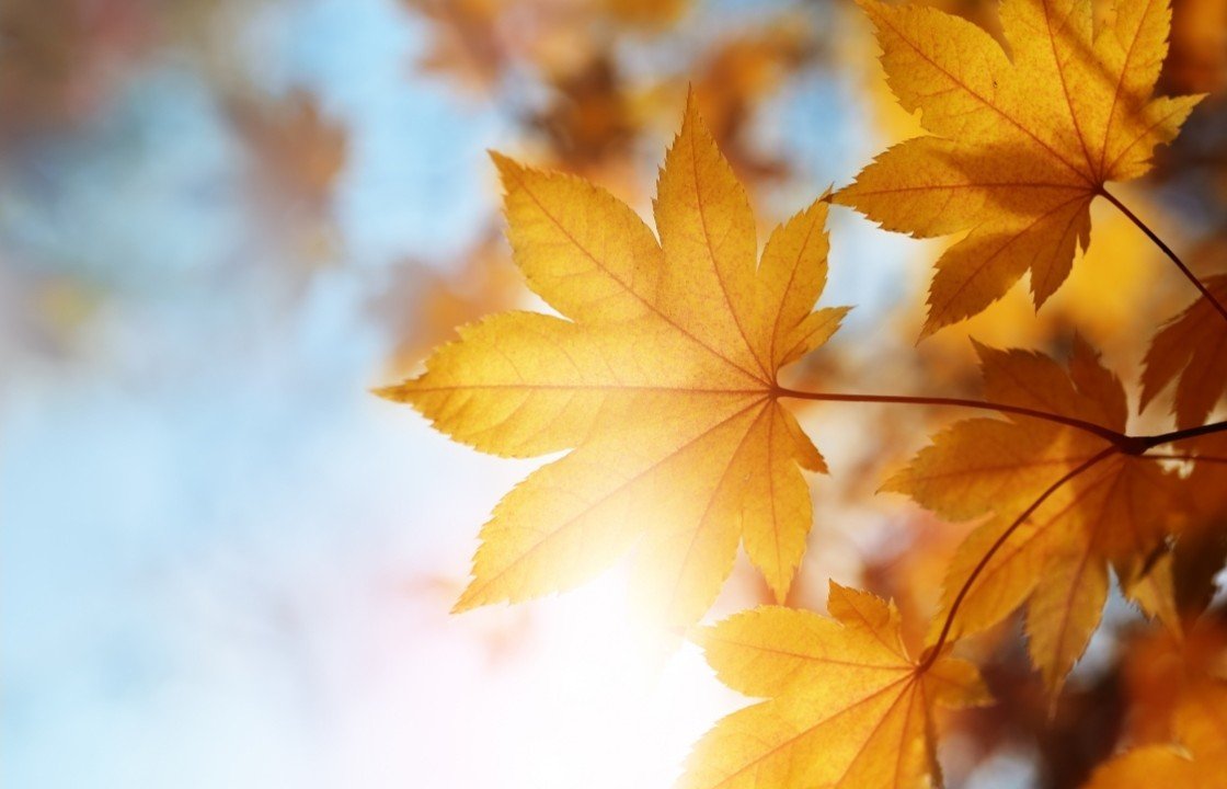 Sacred Seasons: Autumn Ease