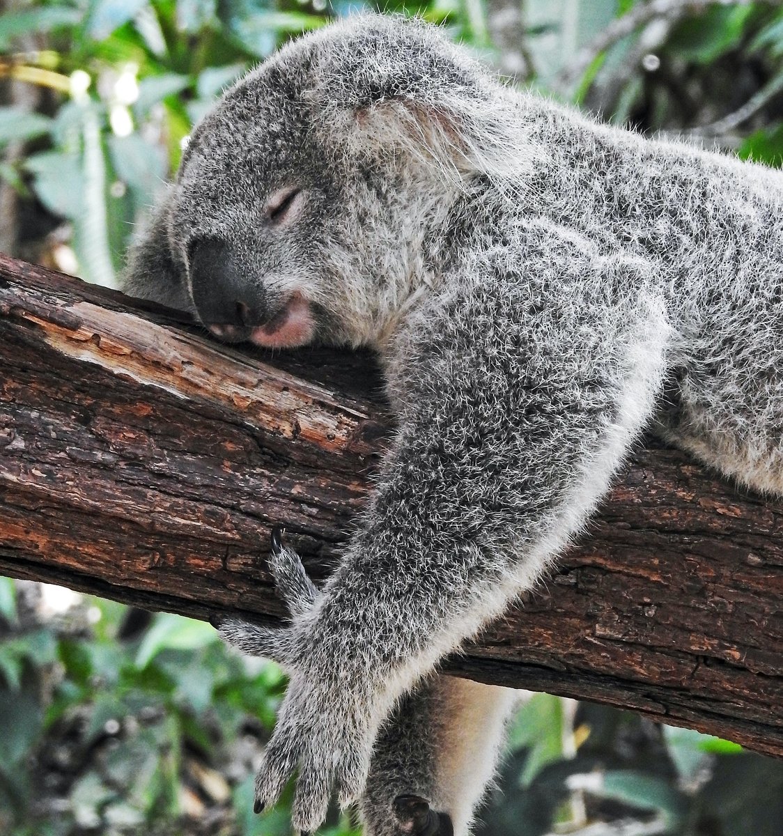 Journeys to Sleep