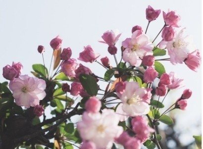 Sacred Seasons: Spring Renewal