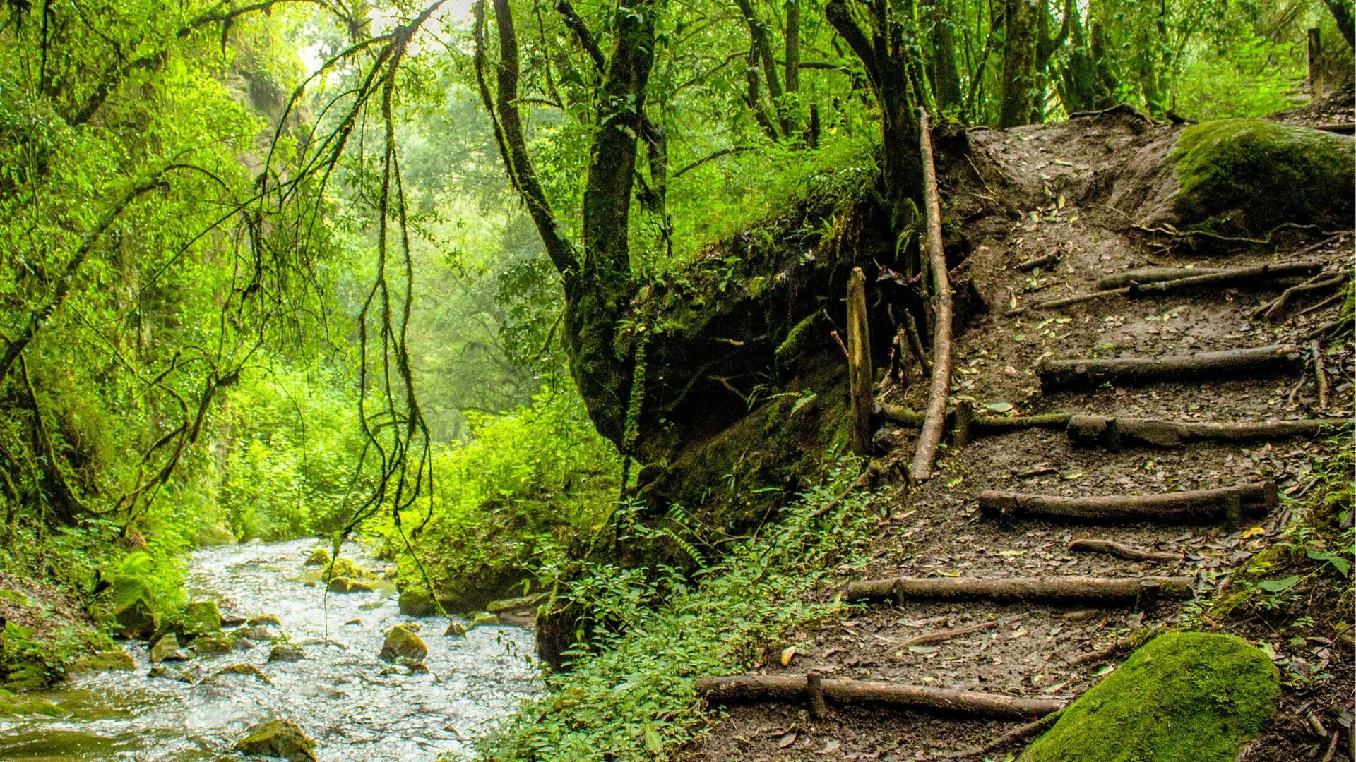 Living the Path