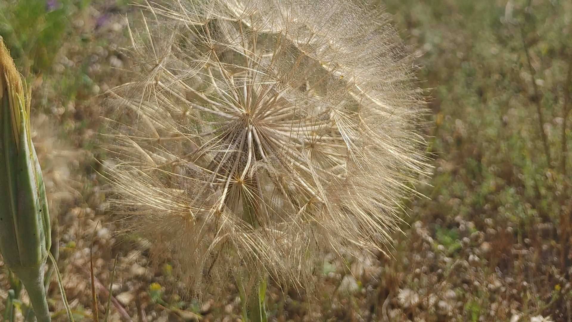 Grounding Energy Practices