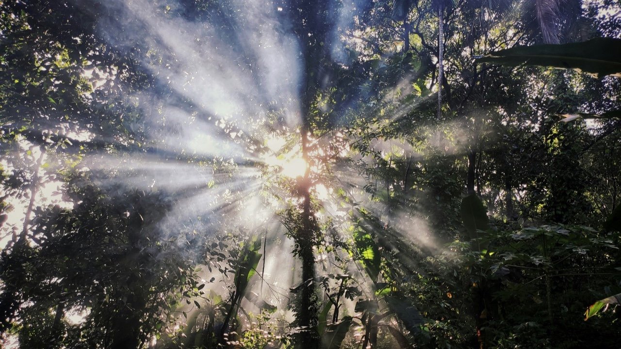 Spiritual Practice Journeys