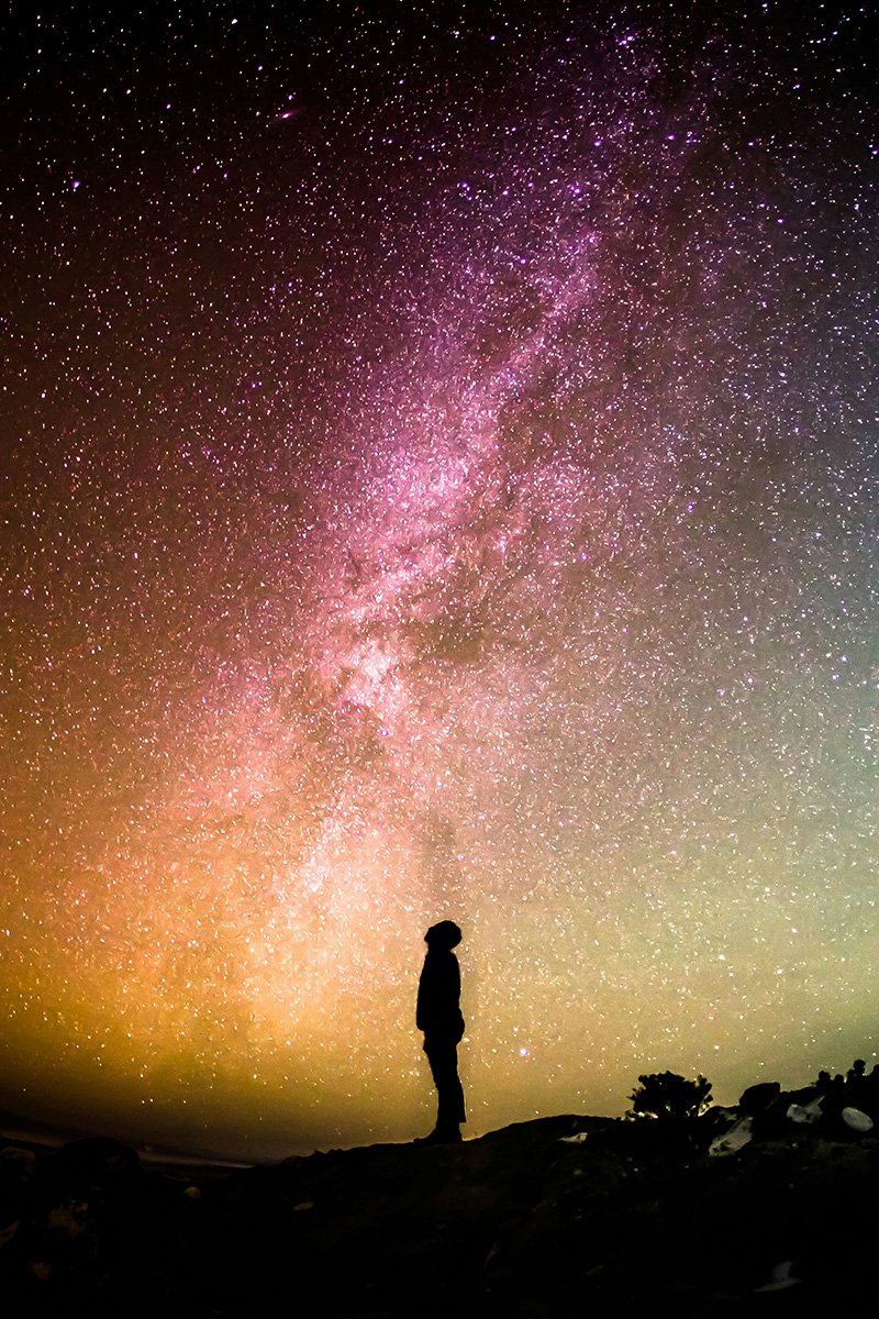 Wonder