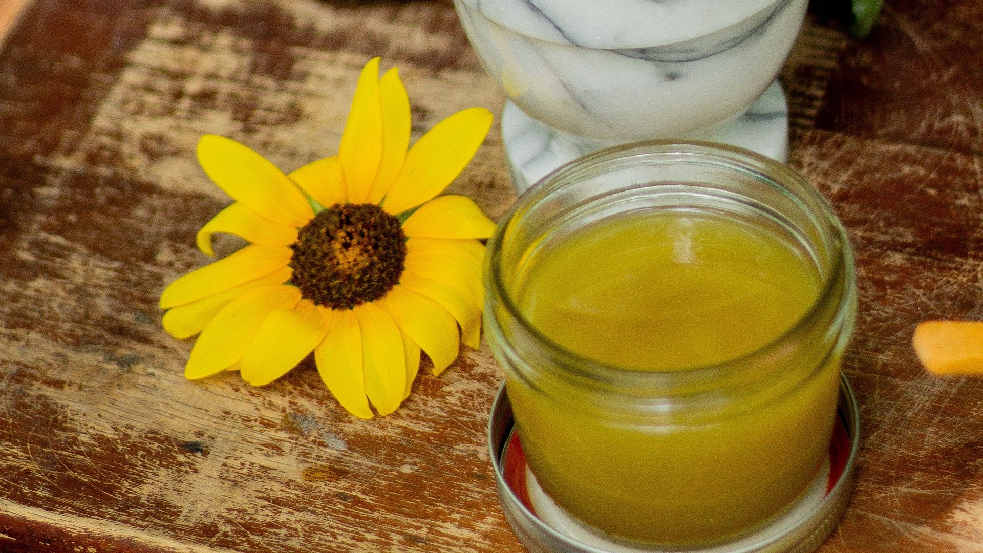 Healing with Nature: An Introduction to Ayurveda