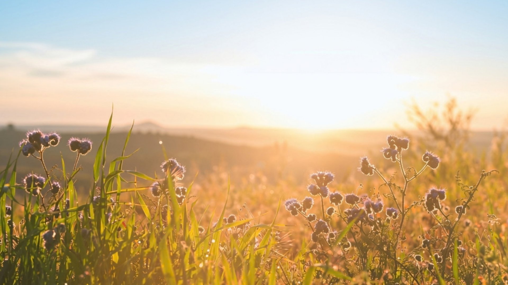 Alchemy of Rest | Yoga Nidra Support for Illness, Pain & Fatigue