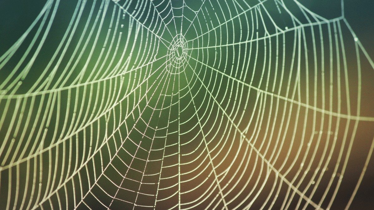 October 2026 - Judgement to Synarchy