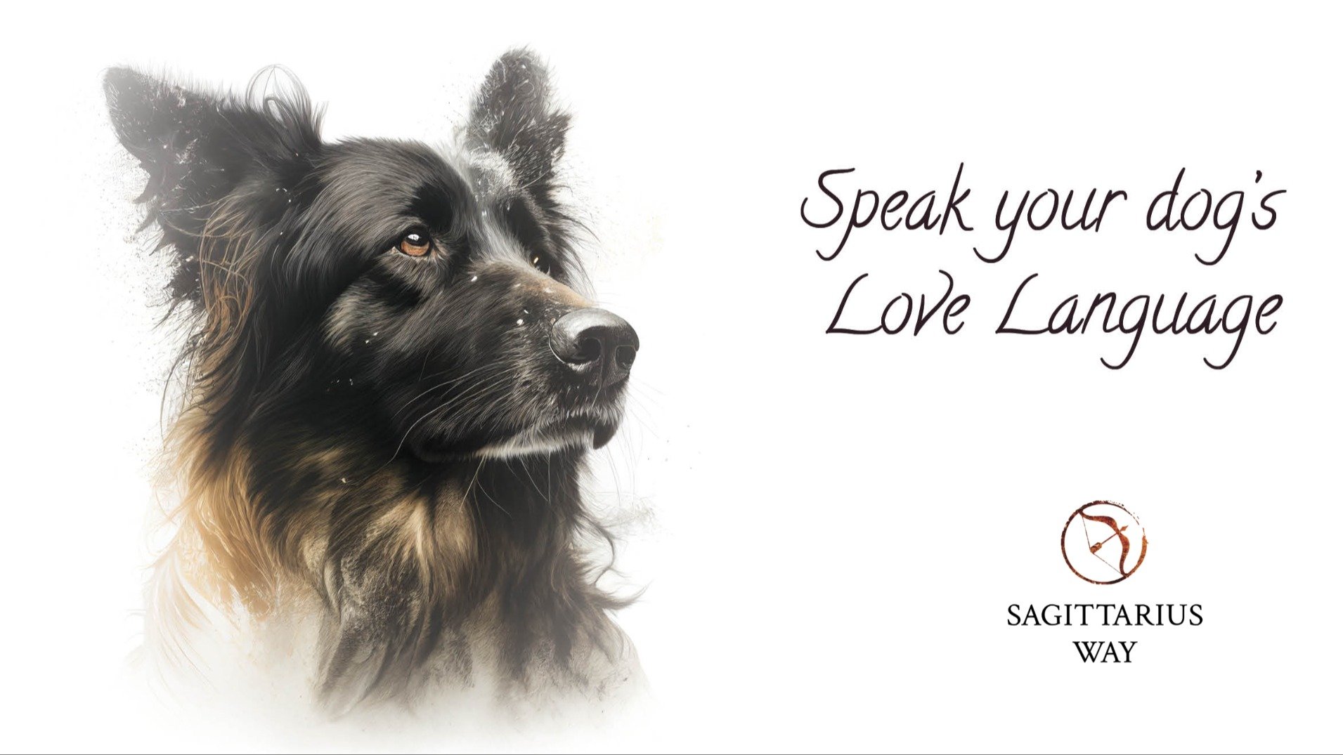 How To Speak Your Dog's Love Language