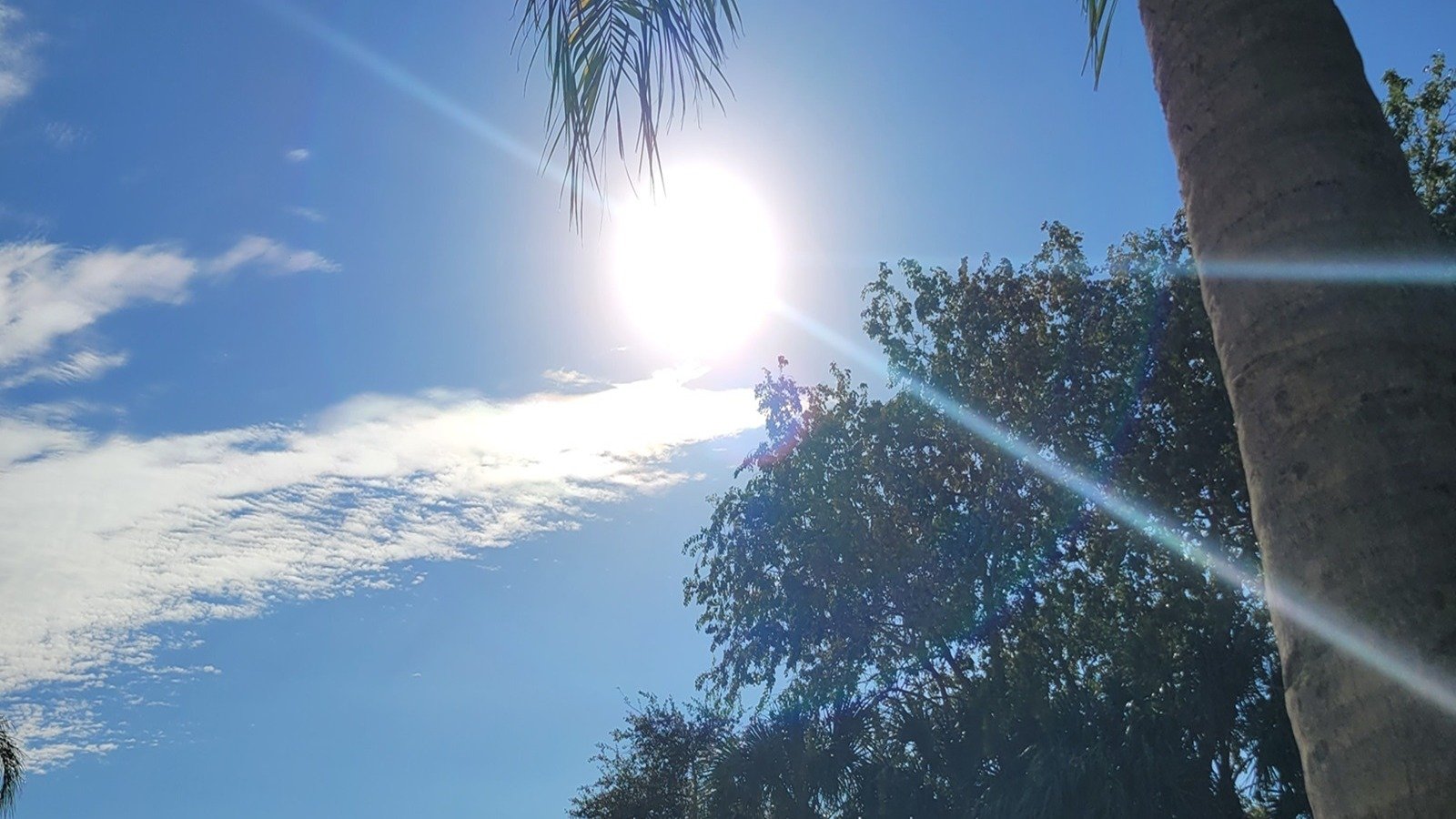 Connecting with Self & Healing
