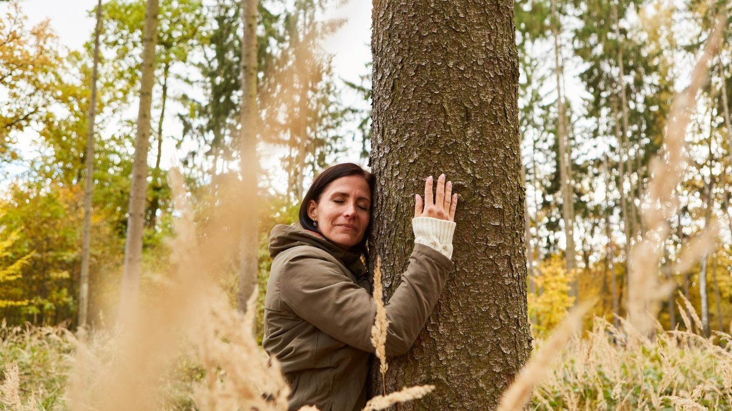 Becoming the Tree