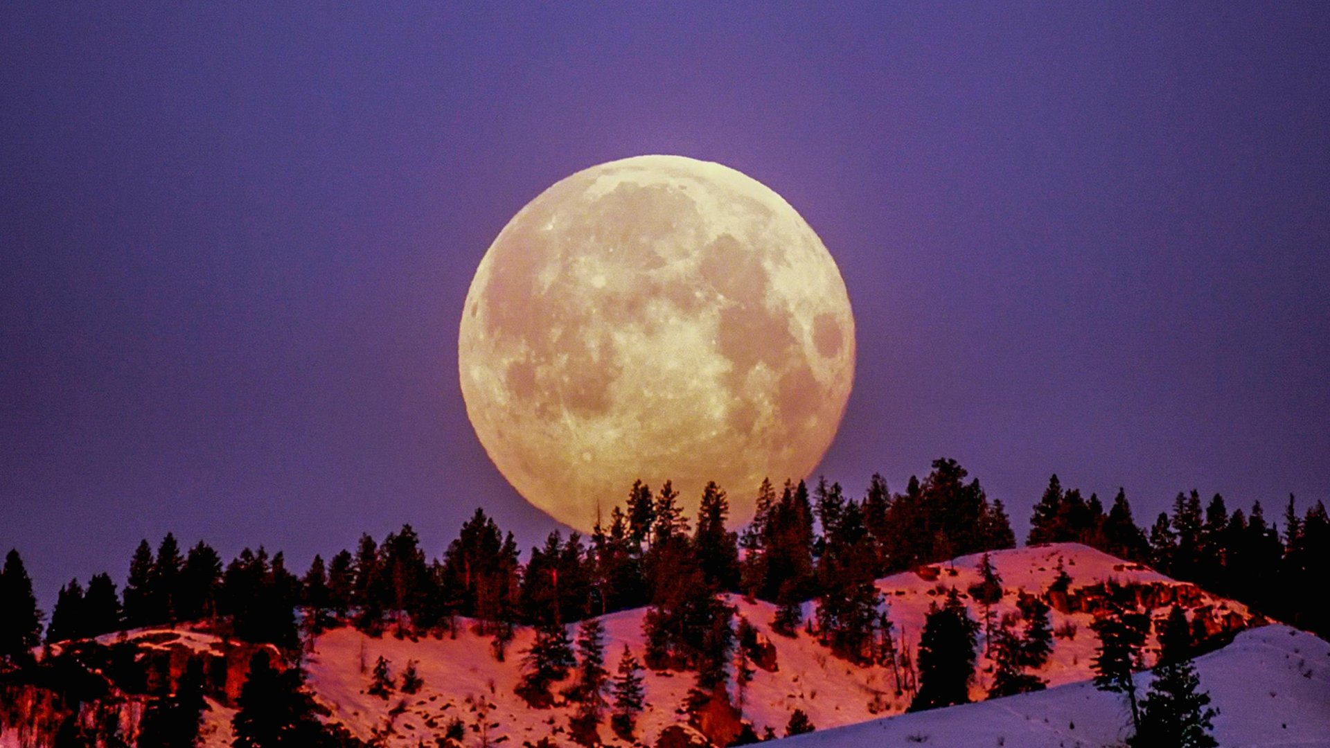 Ayurvedic Wisdom for Peaceful Sleep
