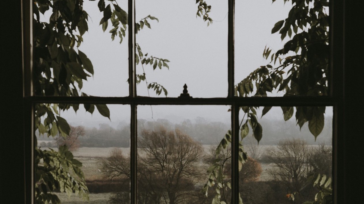 Windows of Wisdom